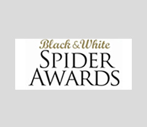 Aktfotografie |&nbsp; Boudoirfotografie | Erotikfotografie&nbsp;für Frauen aus Zürich, Basel, Genf, Lausanne und Bern