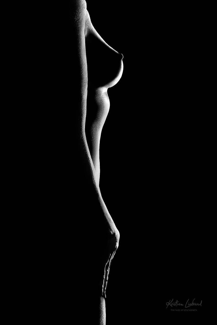 Aktfotografie Aktfotos schwarzweiss Fotoshooting Bern - Zürich - Basel - Genf