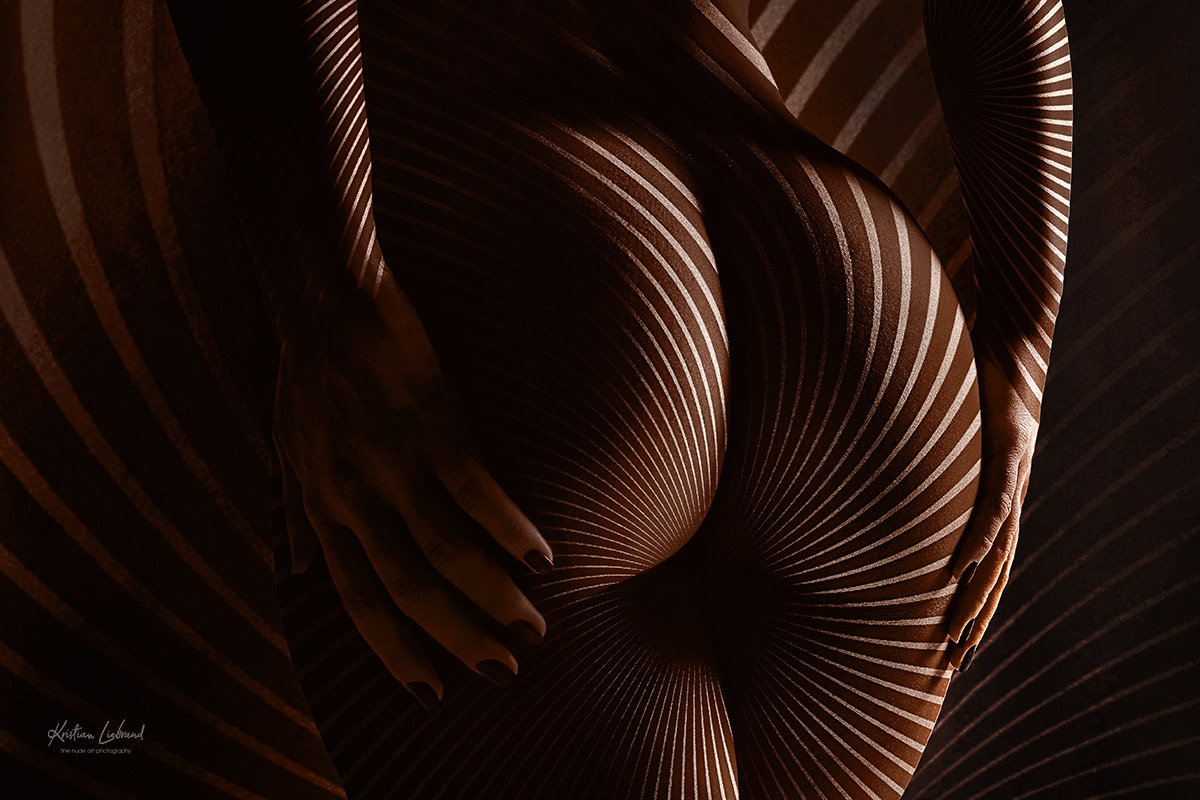 Aktfotografie Aktfotos schwarzweiss Fotoshooting Bern - Zürich - Basel - Genf